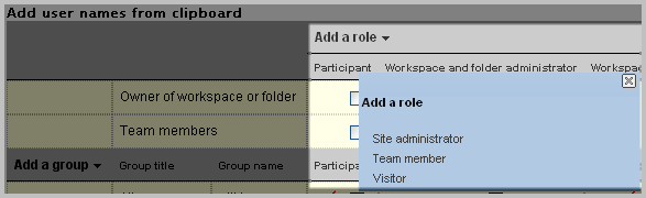 Adding a Visitor Role to the Access Control Table