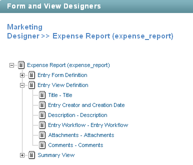 Entry View Definition Elements