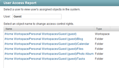 User Access Report page