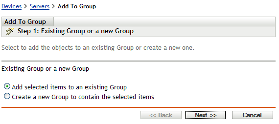 Add to Group Wizard - Existing Group or a New Group page