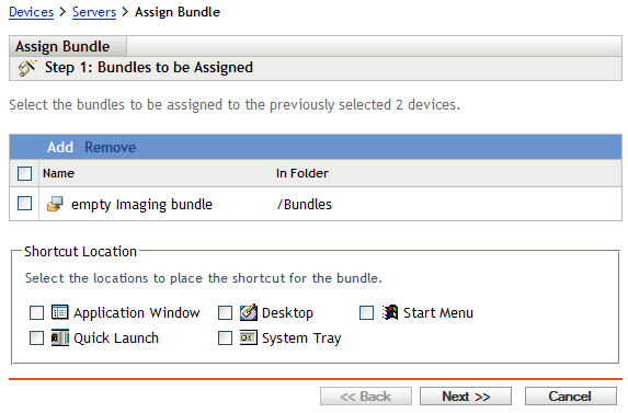 Assign Bundle Wizard - Bundles to be Assigned page