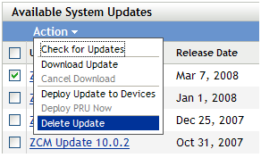 System Update Status panel with Actions displayed, specifically the Delete Update action