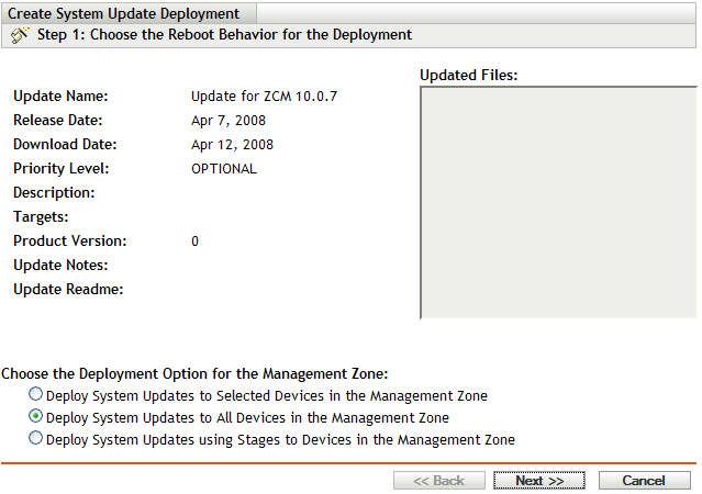Choose the System Update and Deployment Option wizard page
