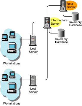 A Root Server along with an Intermediate Server which has an Inventory database, to which the lower-level Leaf Servers roll up the inventory data.