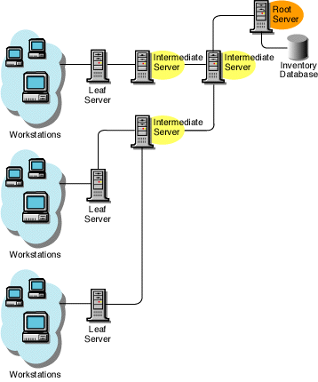 The Intermediate Server with the lower-level Leaf Servers and the highest-level Root Server