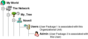 Directory tree