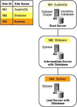 This illustration depicts the site details of the database.