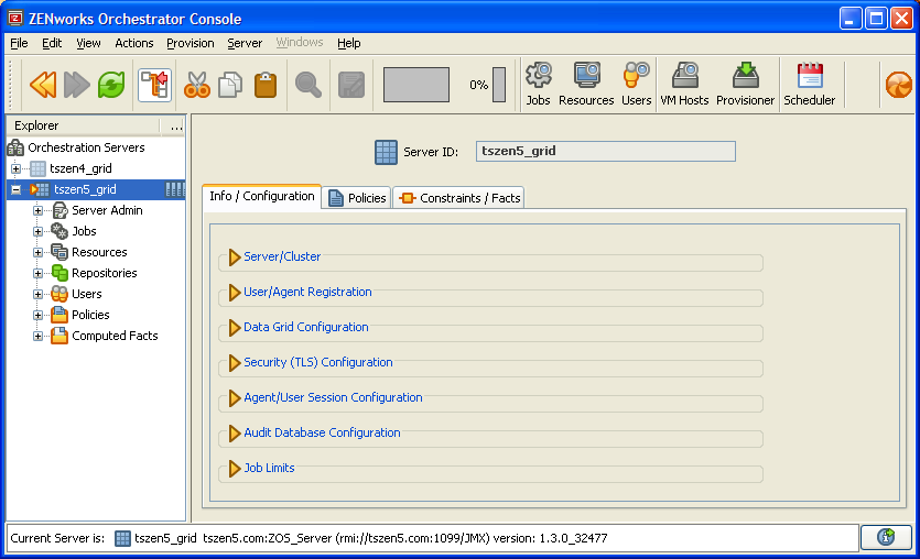 ZENworks Orchestrator Console with Information for the Selected Grid Displayed