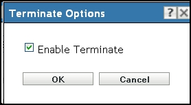 Action Set Options - Terminate Options Dialog Box