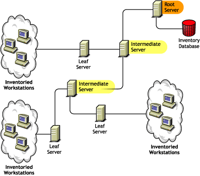 The Intermediate Server with the lower-level Leaf Servers and the highest-level Root Server.
