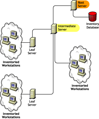 A Root Server along with an Intermediate Server which has inventoried workstations attached to it.