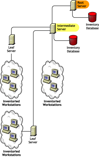 The Root Server at the topmost level, an Intermediate Server with Database at the lower level attached to the Root Server, and Leaf Servers attached to the Intermediate Server with Database.