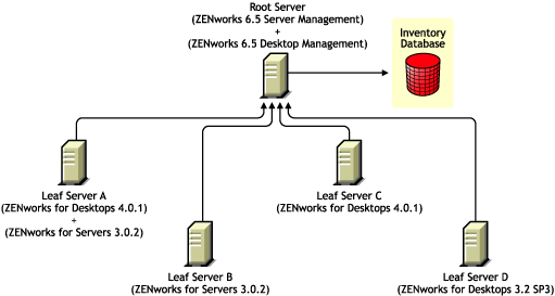 Leaf Servers having different versions of ZENworks for Desktops 3.2 SP3,  ZENworks for Desktops 4.x, or ZENworks for Servers 3.0.2 rolling up the inventory information to the Root Server having ZENworks 6.5 Desktop Management and ZENworks 6.5 Server Management.