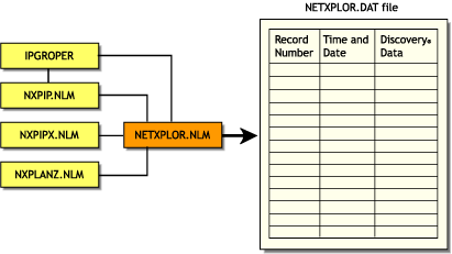 Discovery process of NETXPLOR.NLM