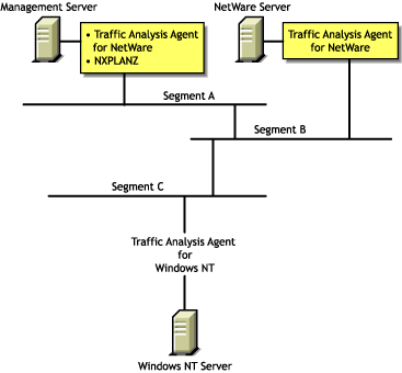 NXPLANZ querying Traffic Analysis Agent software