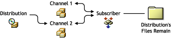 The Distribution is no longer listed in the Channel 1. The Distribution's temporary files remain, because the Distribution and Subscriber are connected through Channel 2.