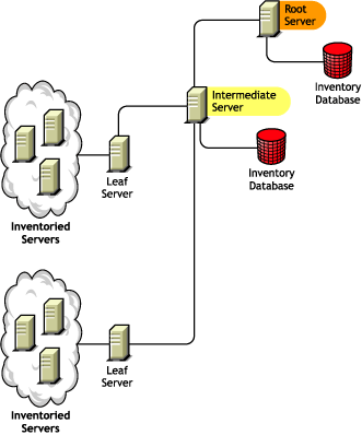 A Root Server along with an Intermediate Server which has an Inventory database, to which the lower-level Leaf Servers roll up the inventory information.