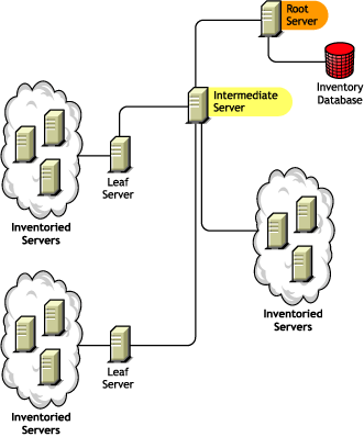 A Root Server along with an Intermediate Server which has inventoried servers attached to it.