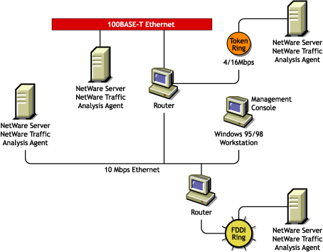 Traffic analysis agent for NetWare