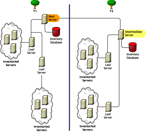 Roll-up of inventory information across eDirectory trees.
