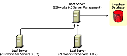 ZENworks for Servers 3.0.2 Leaf Servers rolling up the Inventory information to ZENworks 6.5 Server Management Root Server after the upgrade.