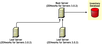ZENworks for Servers 3.0.2 Leaf Servers rolling up the Inventory information to the ZENworks for Servers 3.0.2 Root Server.