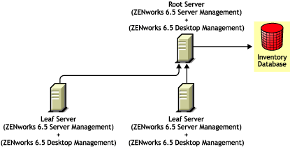 Installing ZENworks 6.5 Desktop Management in a ZENworks 6.5 Server Management environment using Method 1.