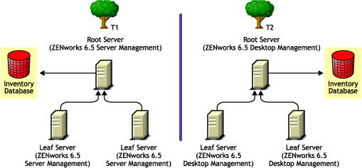 Two eDirectory trees with ZENworks 6.5 Server Management and ZENworks 6.5 Desktop Management Inventory trees on each one of them.