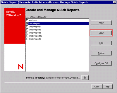 Clicking the View button in the Create and Manage Quick Reports page