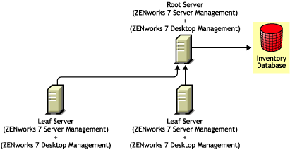 Installing ZENworks 7 Desktop Management in a ZENworks 7 Server Management environment using Method 1.