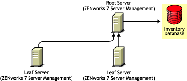 ZENworks 7 Server Management Leaf Servers roll up to ZENworks 7 Server Management Root Server.