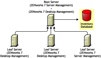 Installing ZENworks 7 Server Management in a ZENworks 7 Desktop Management environment using Method 2.