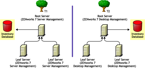 Two eDirectory trees with ZENworks 7 Server Management and ZENworks 7 Desktop Management Inventory trees on each one of them.