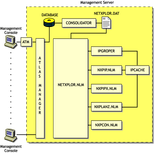 The relationship of the discovery NLM processes, NetExplorer, and the management console