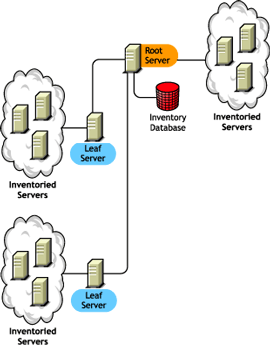 The Root Server with Inventoried Servers at the highest level, with inventoried servers attached to it. Also, more than one Leaf Server is attached to this Root Server with Inventoried Servers