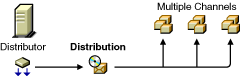 Distributor with a Distribution listed in multiple Channels