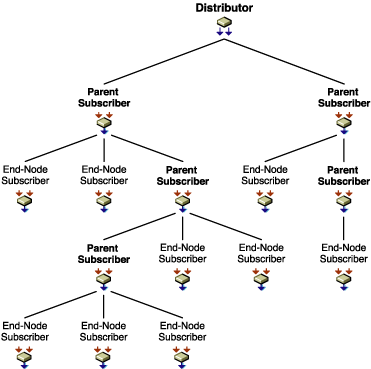 Distribution Route Hierarchy showing parent Subscribers and end-node Subscribers