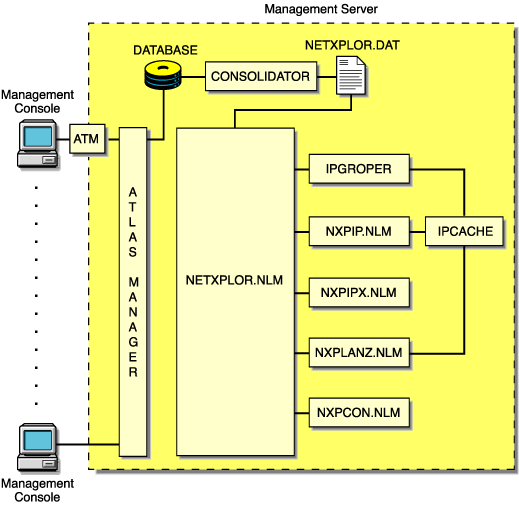 The relationship of the discovery NLM processes, NetExplorer, and the management console