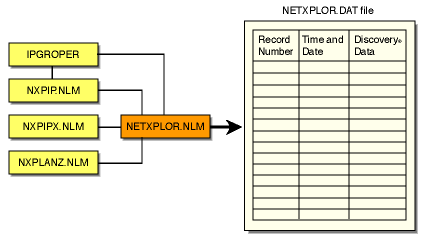 Discovery process of NETXPLOR.NLM