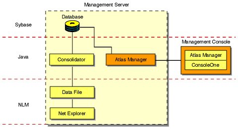 The Discovery components: database (Sybase), Consolidator and Management Console (Java components), Data file and Net Explorer (NLM components)