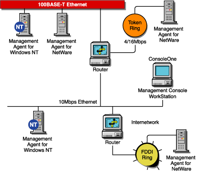 The NetWare/Windows NT Agent configured on the server in an Ethernet/FDDI network/token ring