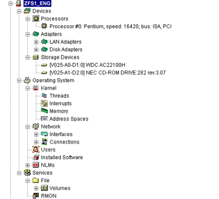 A server configuration containing the Devices object (including Processors, Adapters, and Storage Devices), Operating System object (including Kernels, Network, Users, Installed Software, and NLMs), and the Services object (including File and RMON)