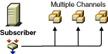 A Subscriber that subscribes to multiple Channels