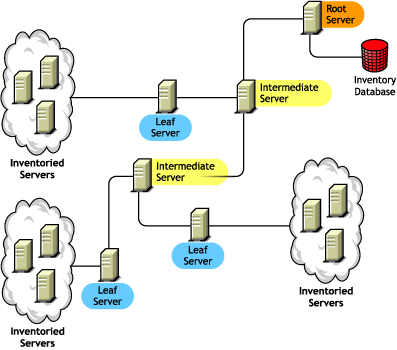 Leaf Servers that roll up the inventory data to Intermediate Server. The Intermediate Server roll up the inventory data to the Root Server.