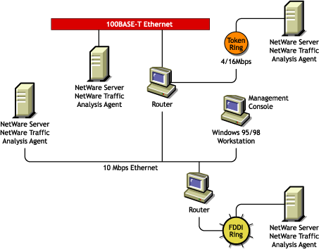 Traffic analysis agent for NetWare