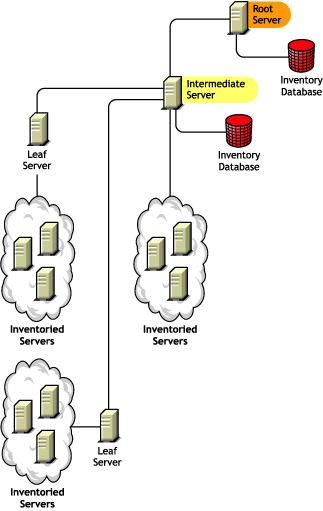The Root Server at the topmost level, an Intermediate Server with Database at the lower level attached to the Root Server, and Leaf Servers attached to the Intermediate Server with Database