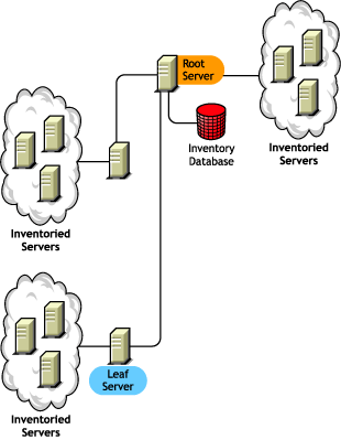 The Root Server with Inventoried Servers at the highest level, with inventoried servers attached to it. Also, more than one Leaf Server is attached to this Root Server with Inventoried Servers