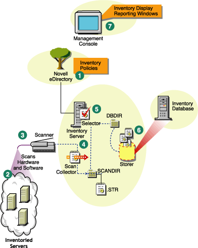 Inventory scanning cycle in the Standalone scenario.