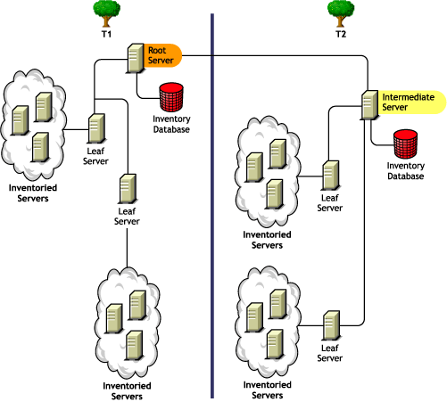 Roll-up of inventory information across eDirectory trees.