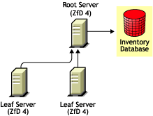 ZfD 4 Leaf Servers roll up to ZfD 4 Root Server.